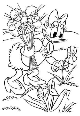 Daisy Duck Picking Flowers Coloring Page